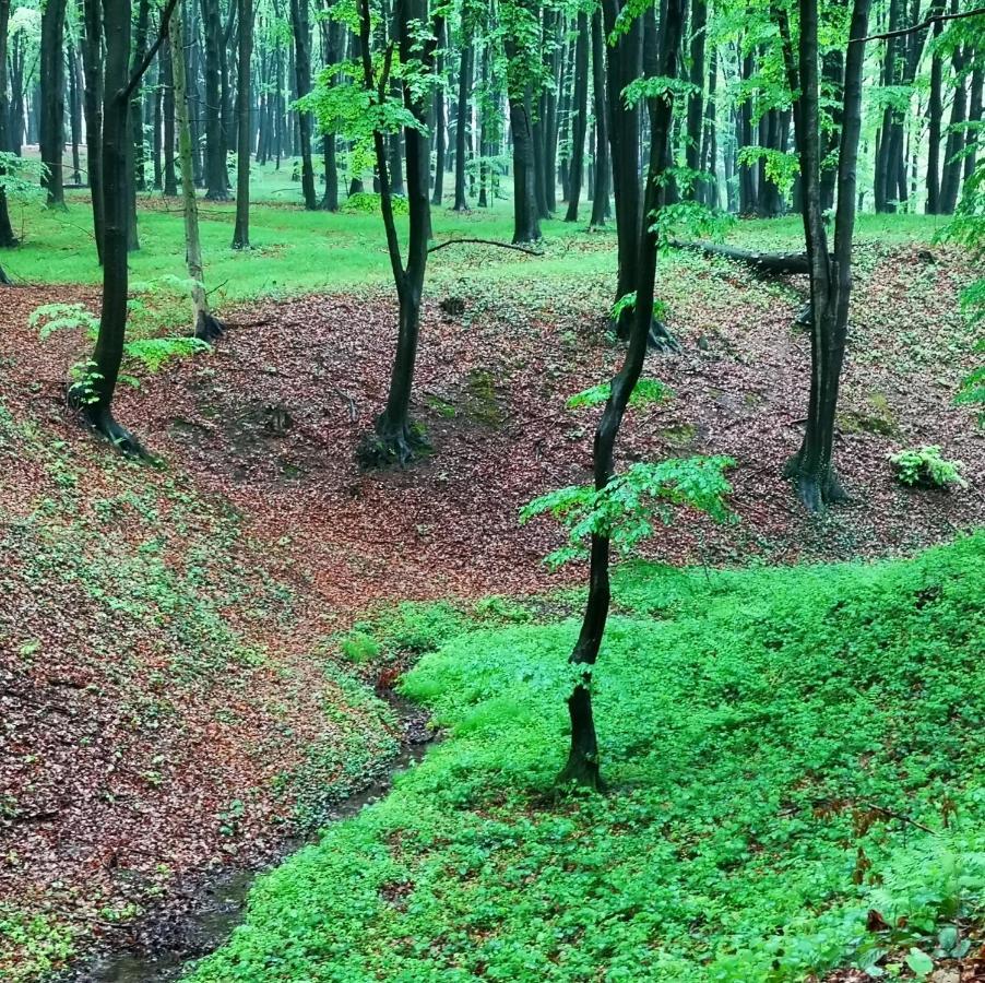 Spytkowice Ranczo W Dolinie Karpia - Blisko "Energylandii" Zator别墅 外观 照片